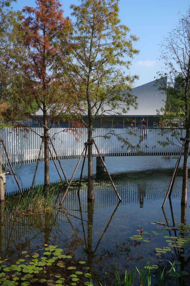 成都兴隆湖畔森林图书馆 | 水体净化，公园城市的活力展示
