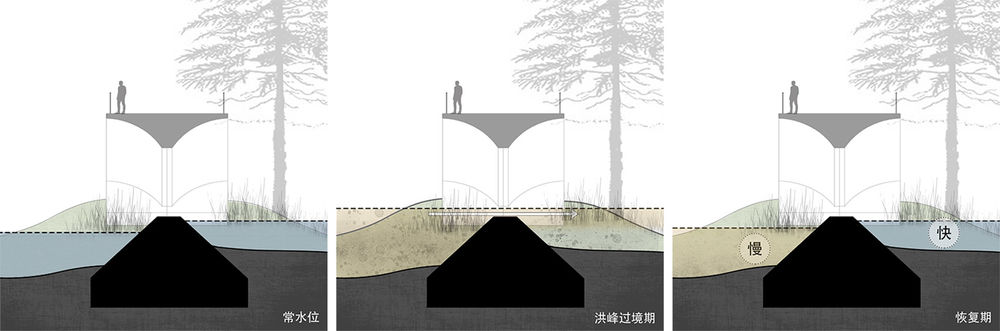 成都兴隆湖畔森林图书馆 | 水体净化，公园城市的活力展示