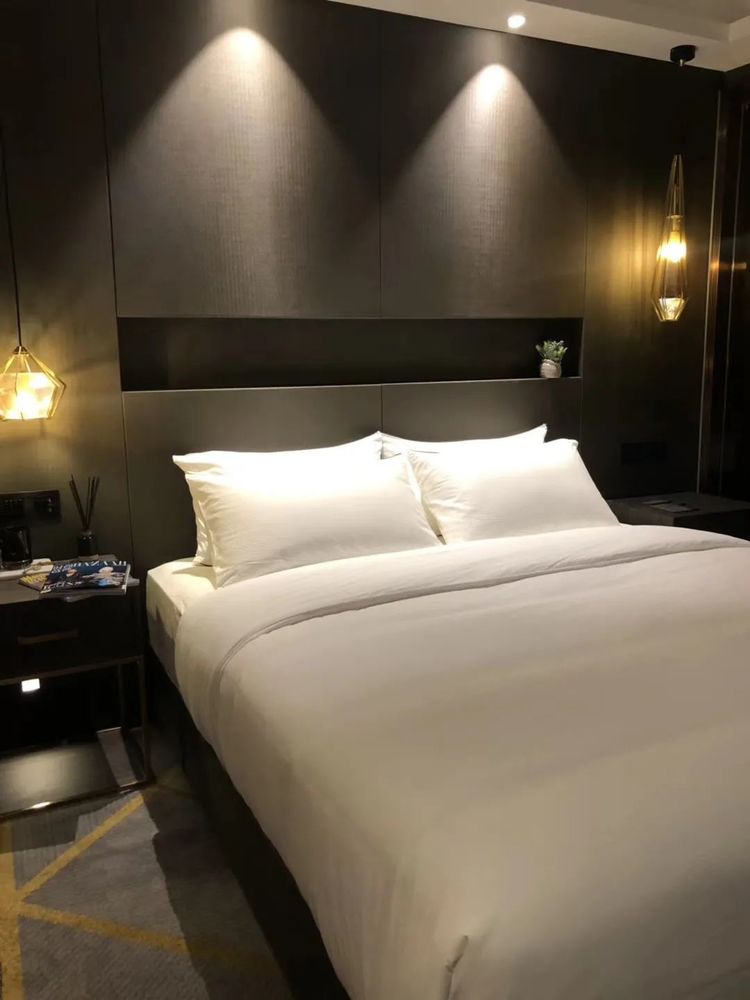 汇捷酒店 | 现代简约与自然和谐的空间美学