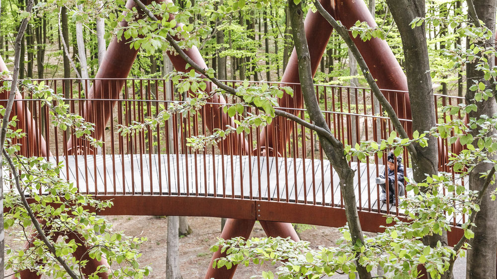 加拿大 AZ 奖获奖作品 | Camp Adventure Park 森林塔 - 树顶漫步新体验