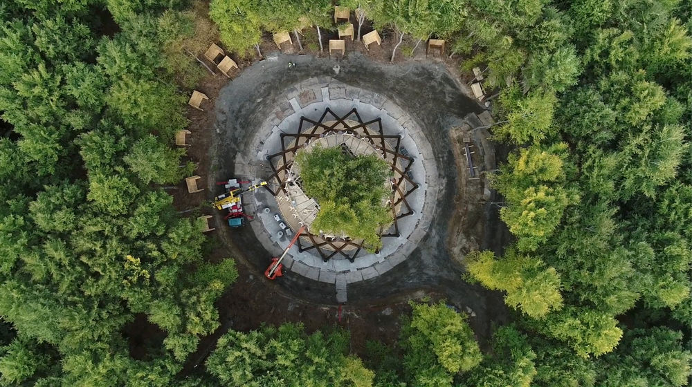 加拿大 AZ 奖获奖作品 | Camp Adventure Park 森林塔 - 树顶漫步新体验