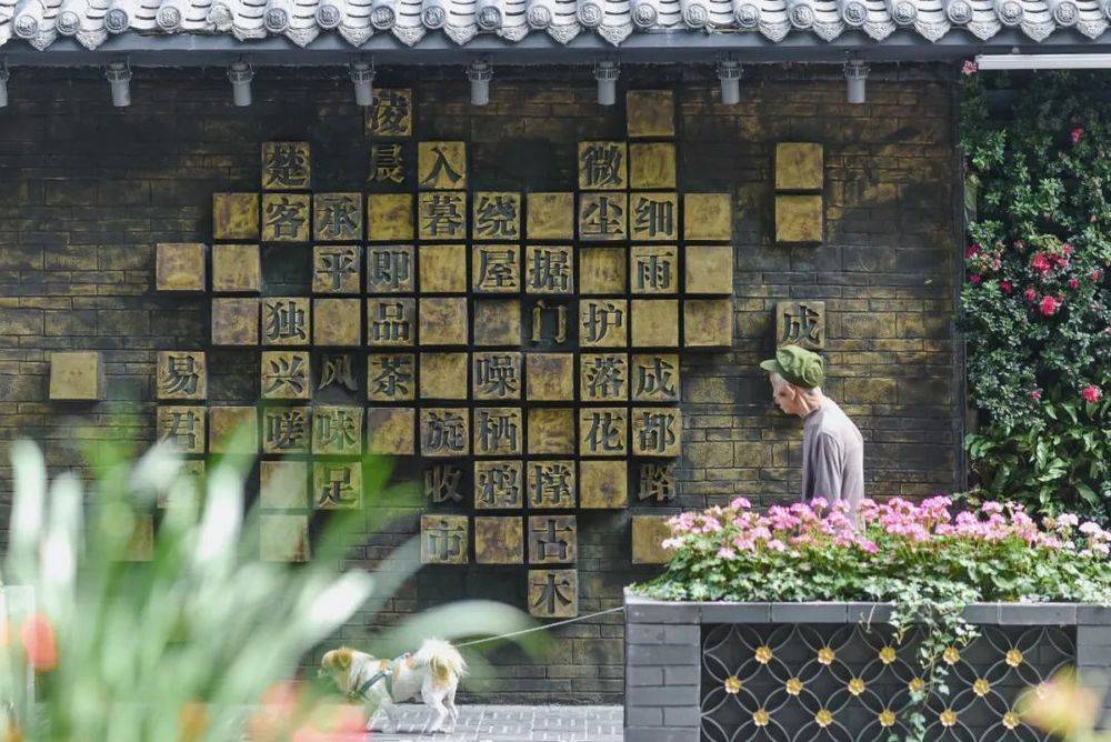 有机更新 | 以人为本的城市温度