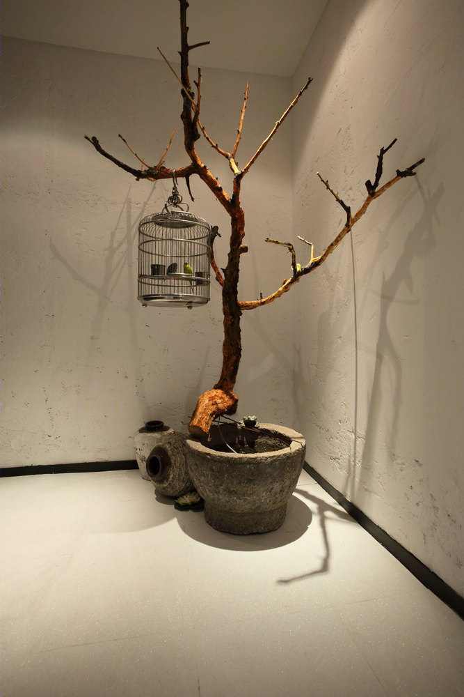 力设计工作室打造鸟语花香的生活空间