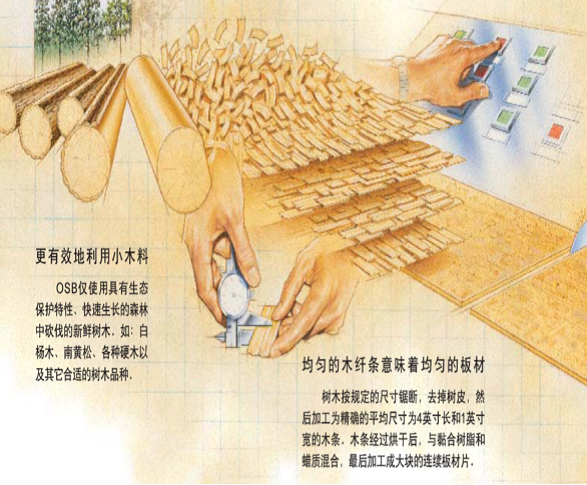 福乐阁涂料 | 北欧皇室御用，环保耐擦洗，墙面色彩丰富