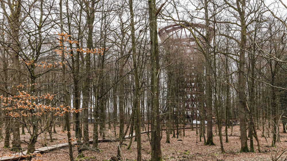 加拿大 AZ 奖获奖作品 | Camp Adventure Park 森林塔 - 树顶漫步新体验