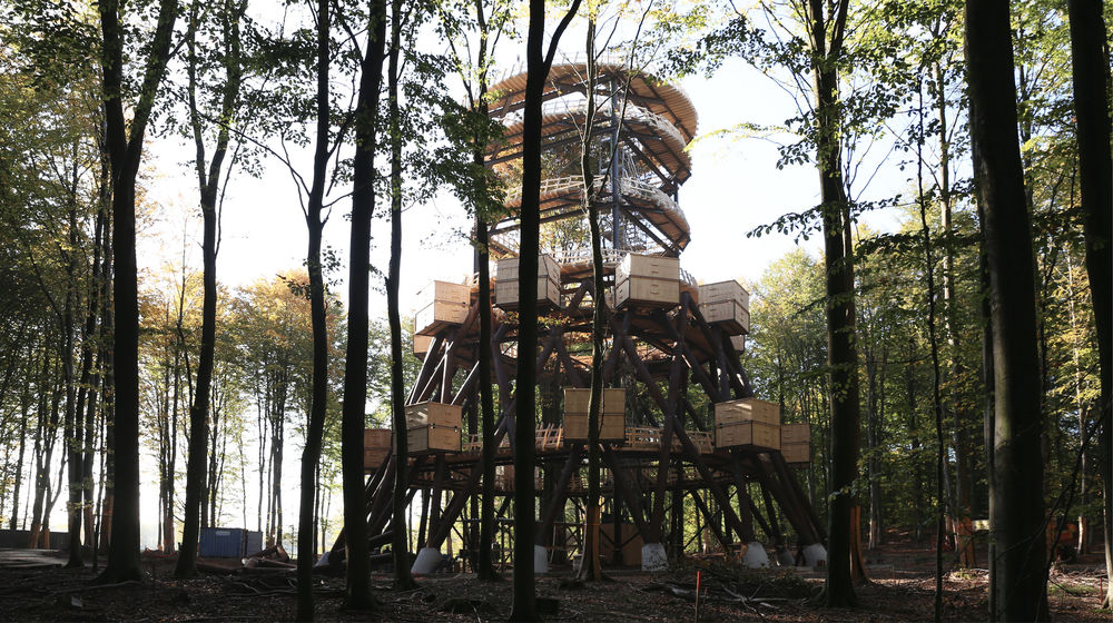 加拿大 AZ 奖获奖作品 | Camp Adventure Park 森林塔 - 树顶漫步新体验