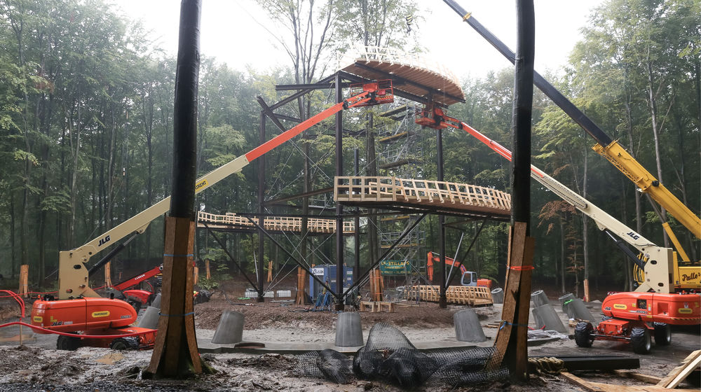 加拿大 AZ 奖获奖作品 | Camp Adventure Park 森林塔 - 树顶漫步新体验