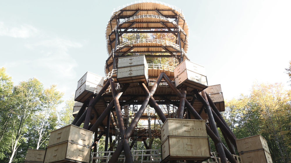 加拿大 AZ 奖获奖作品 | Camp Adventure Park 森林塔 - 树顶漫步新体验