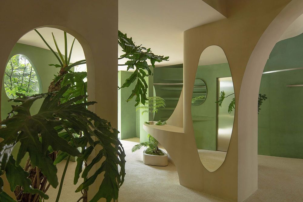 NYPE 咖啡店 | 绿色植物打造宁静空间