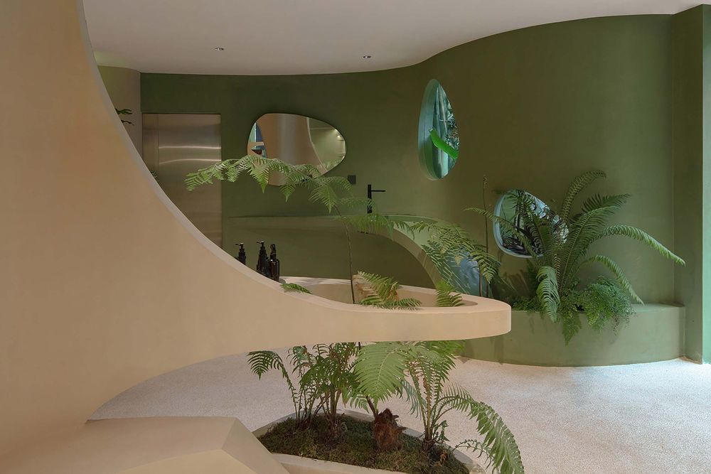 NYPE 咖啡店 | 绿色植物打造宁静空间