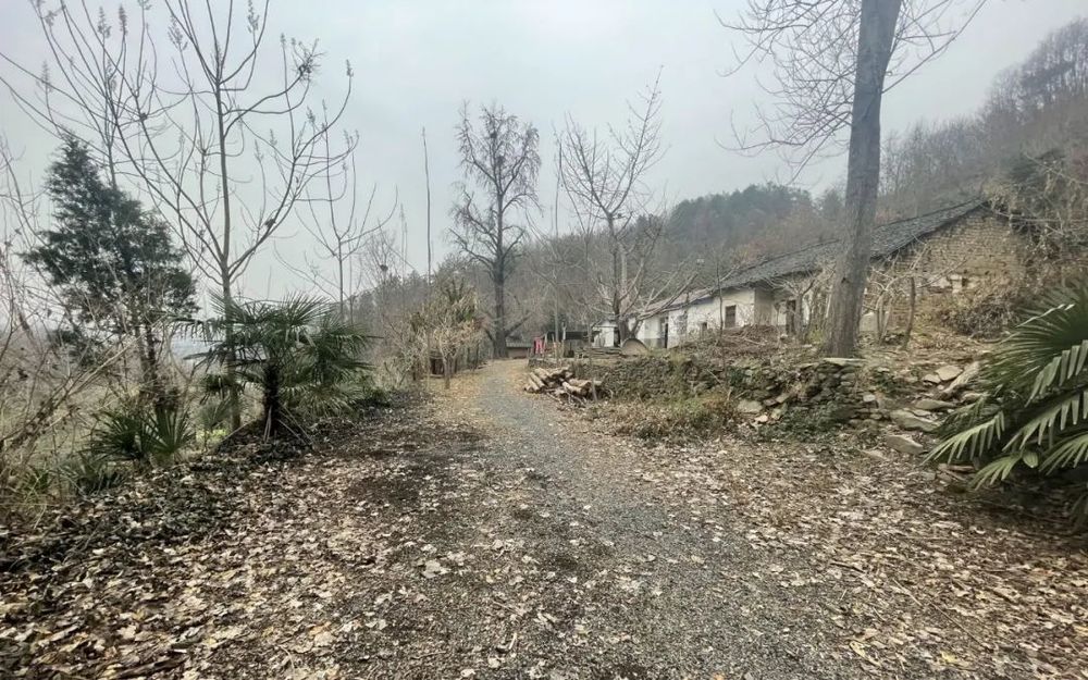 随州百美驿站——乡村公共空间的新生