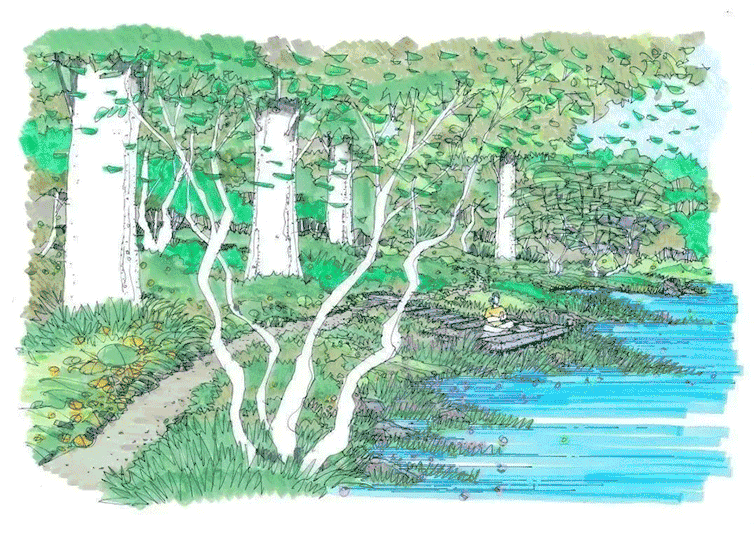 户田芳树打造·凯森千年古树园·幽玄之森 | 融入自然，感受幸福时光