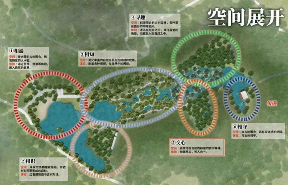户田芳树打造·凯森千年古树园·幽玄之森 | 融入自然，感受幸福时光