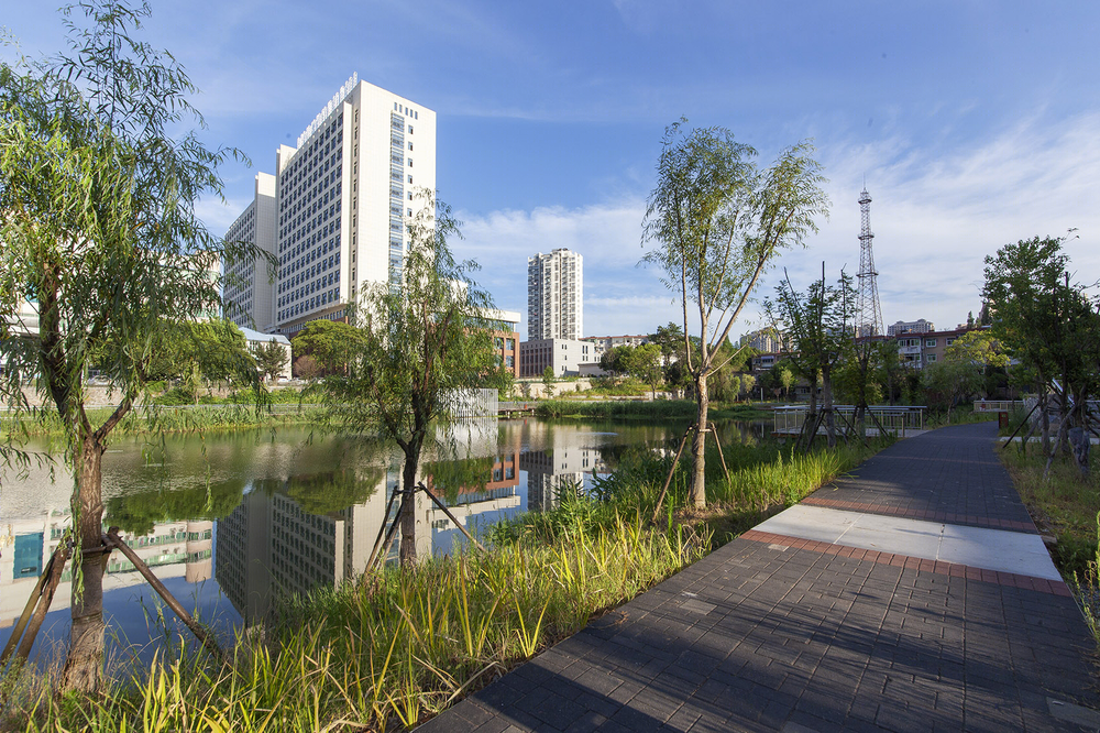 安徽池州护城河遗址公园——海绵城市的绿色示范