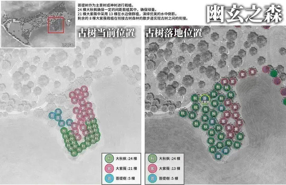 户田芳树打造·凯森千年古树园·幽玄之森 | 融入自然，感受幸福时光