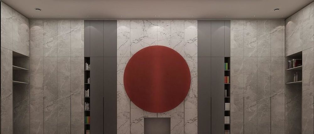 柜猫