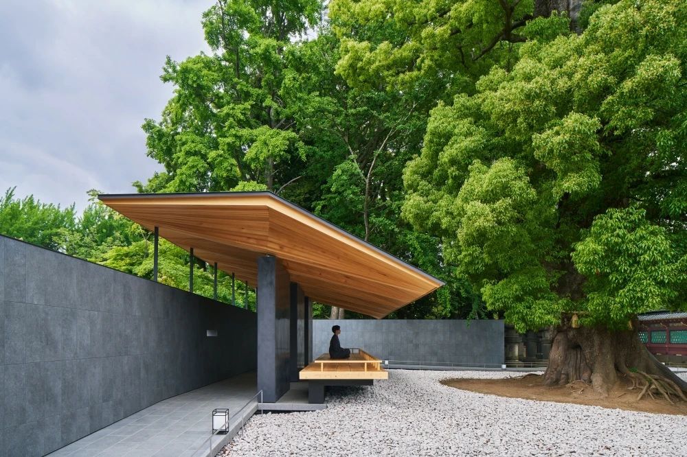 中村拓志的"祈祷花园"与"Care House"