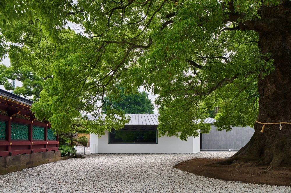 中村拓志的"祈祷花园"与"Care House"