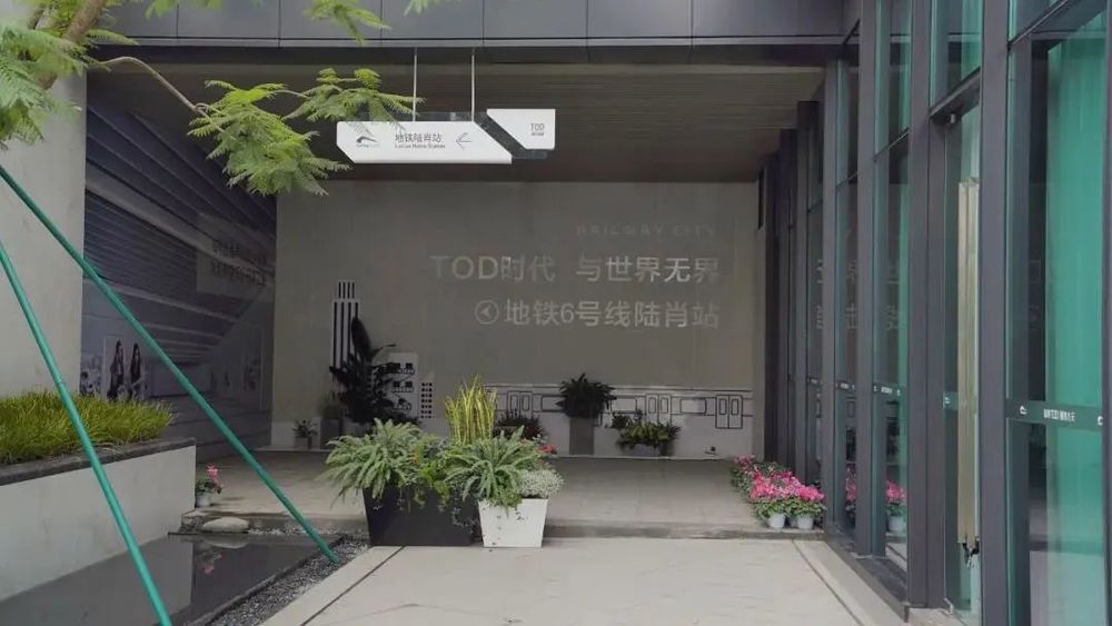 陆肖 TOD | 公园城市生活的诗意栖居