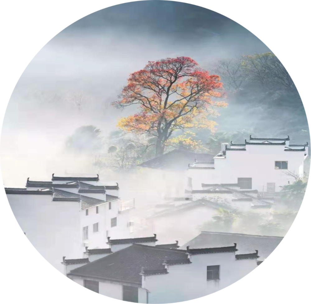 佛山顺德“窥·日”庭院设计 | 日晷元素融入自然景观