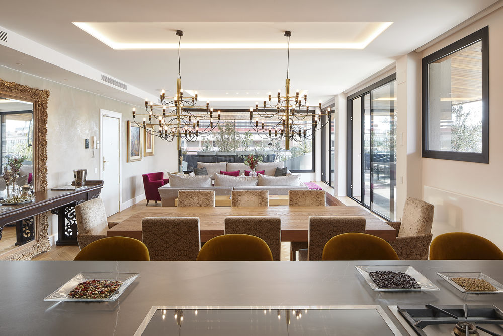 Turo Park Penthouse 顶层公寓室内设计
