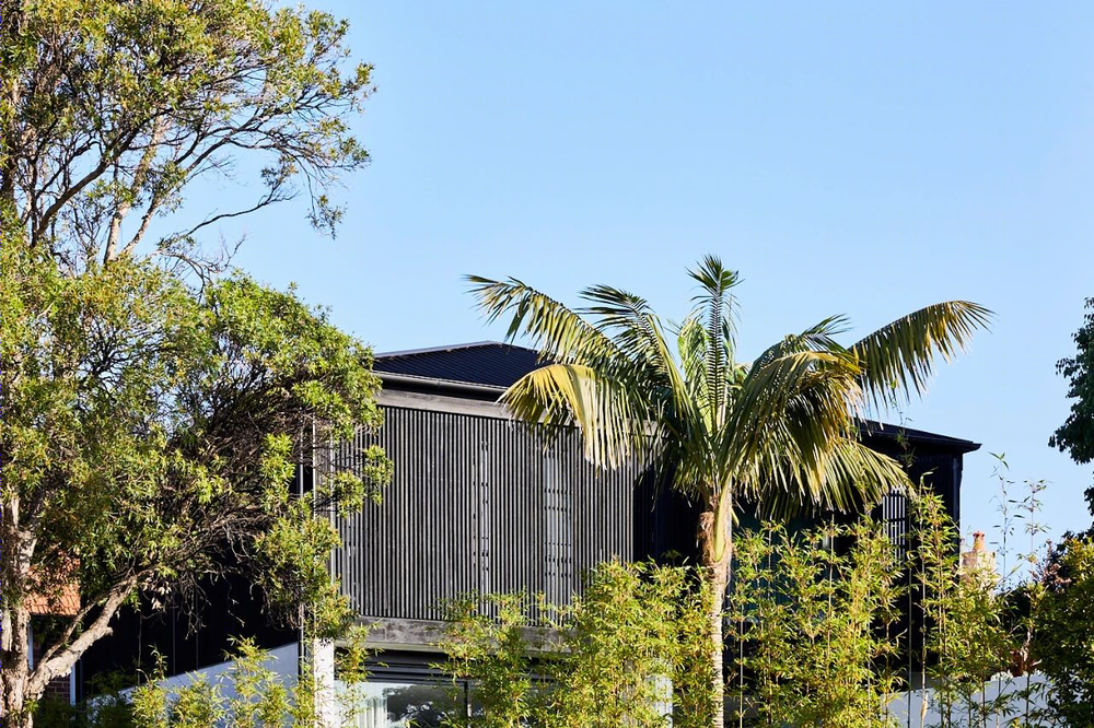 Carthona House | 悉尼 Mosman 联邦风格别墅的现代扩展