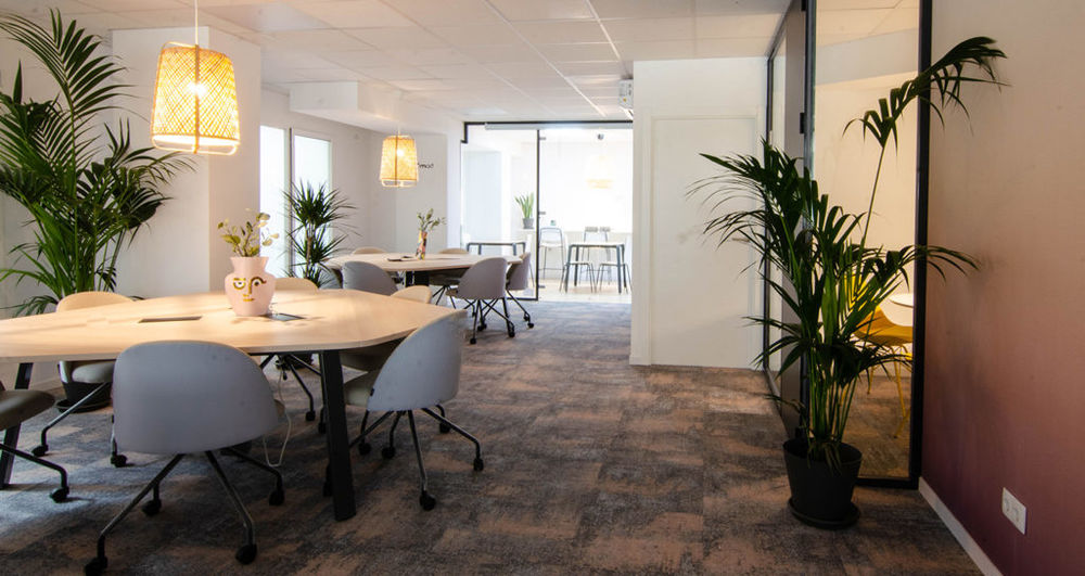 Mobboli Coworking NO*MAD | 极简主义与自然元素的完美融合
