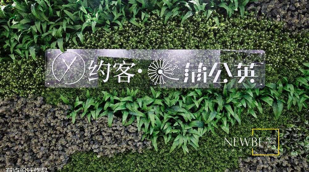 《约克·蒲公英》有点设计