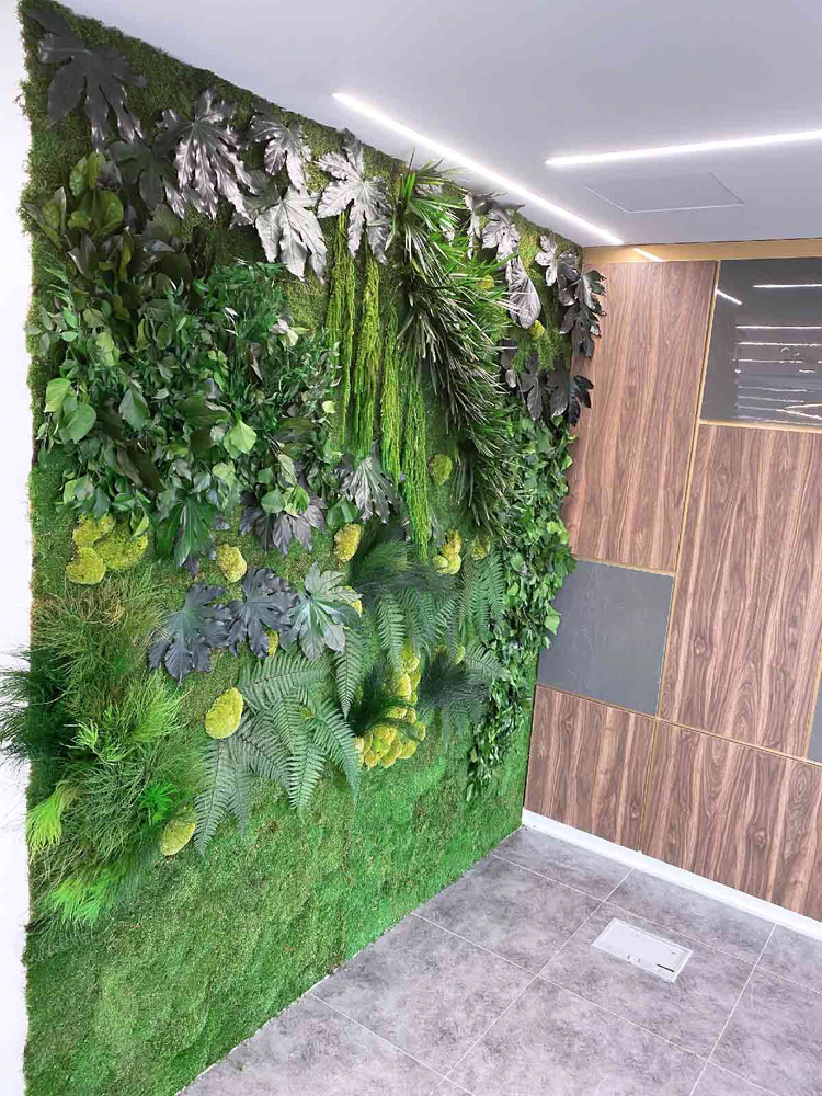 GREEN WALLS for ALLTECH INVESTMENTS