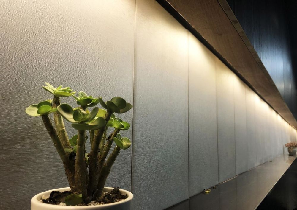 西橘空间设计——自然光线下的开放式办公空间