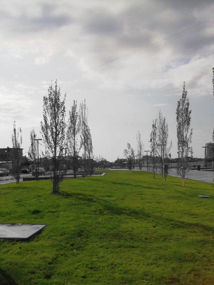 一公里城市公园，连接城市碎片