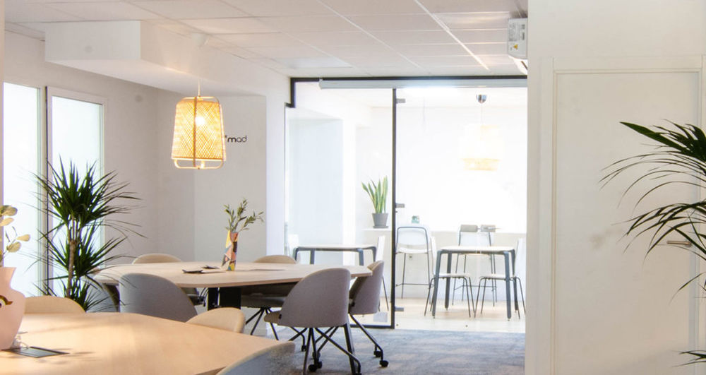 Mobboli Coworking NO*MAD | 极简主义与自然元素的完美融合