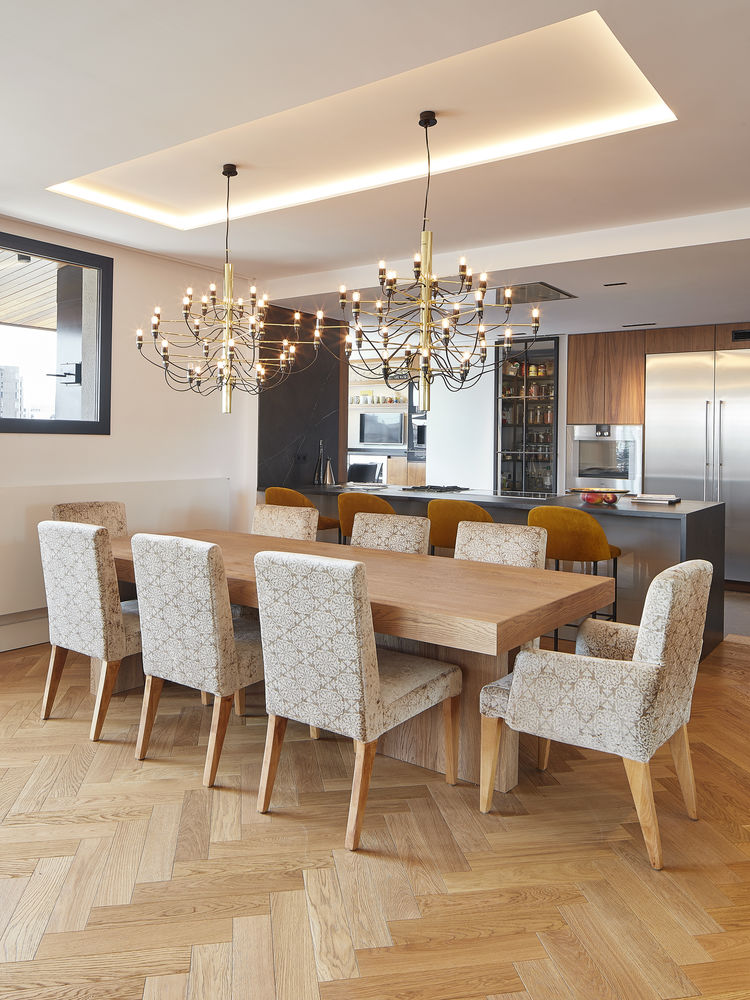 Turo Park Penthouse 顶层公寓室内设计