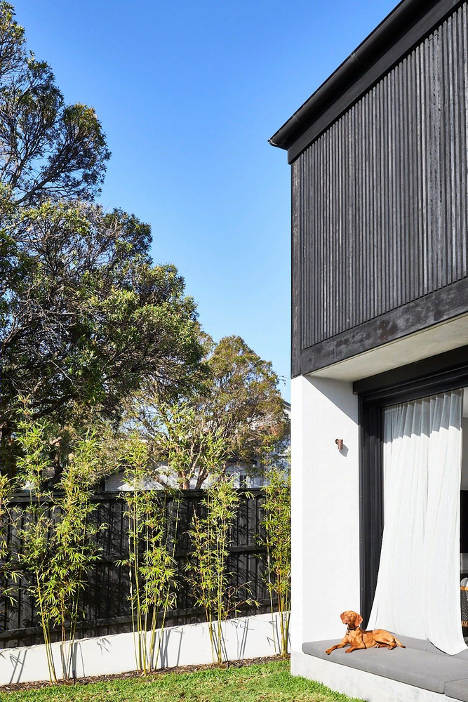 Carthona House | 悉尼 Mosman 联邦风格别墅的现代扩展