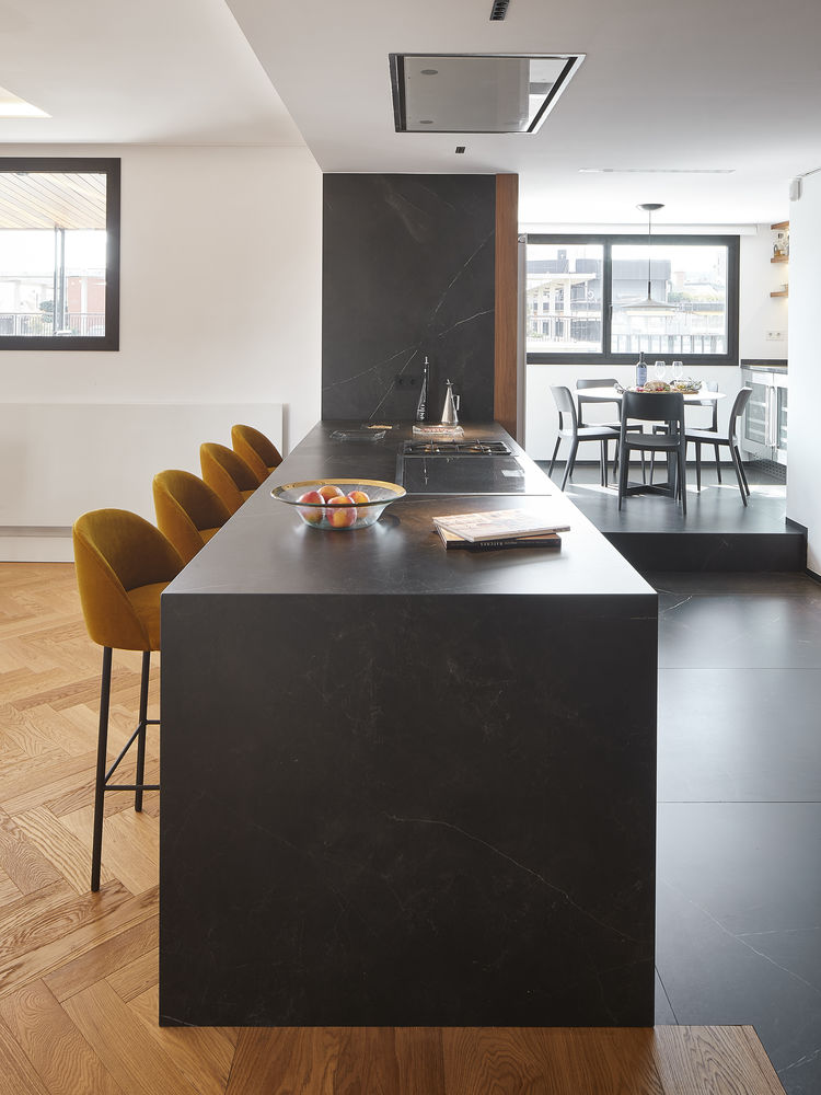 Turo Park Penthouse 顶层公寓室内设计