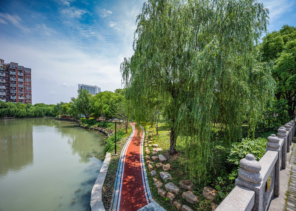 嘉兴口袋公园 | 城市微更新中的美好花园理念