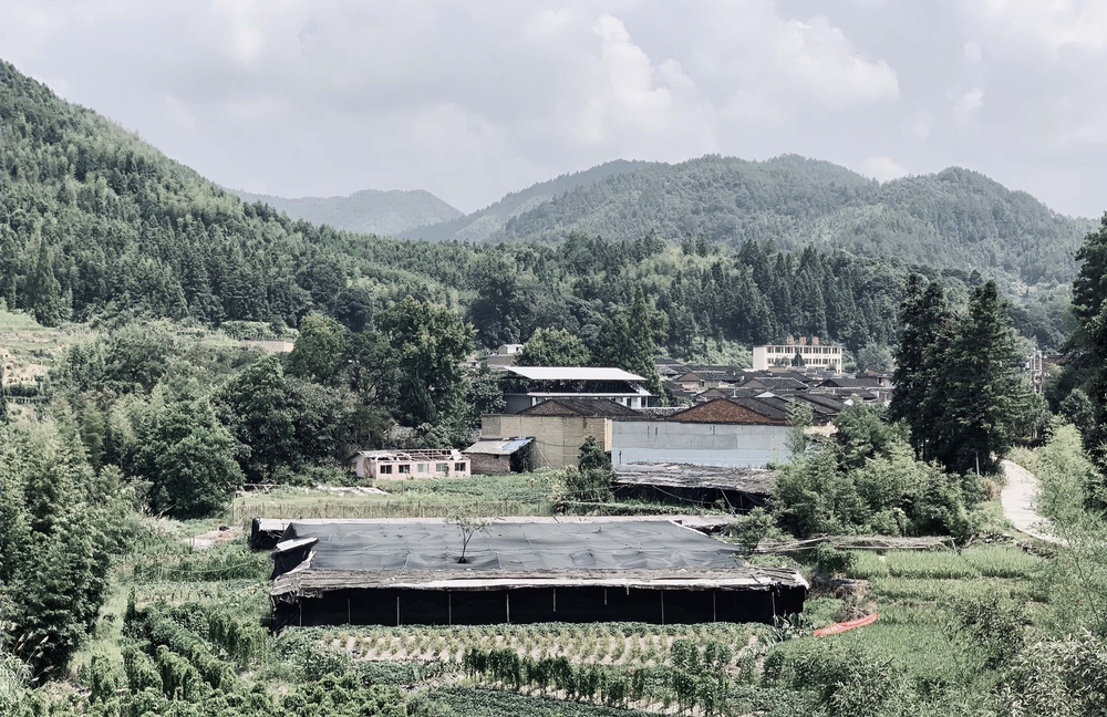 福建前汾溪村农村艺术中心——融入自然的开放式设计