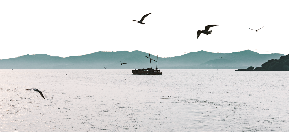 苏州湾金海华“华宴” | 东方韵味与现代时尚的完美融合