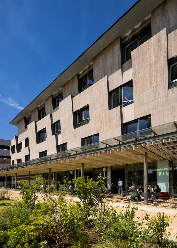 日本横滨国际学校 | 隈研吾团队设计现代化教育空间