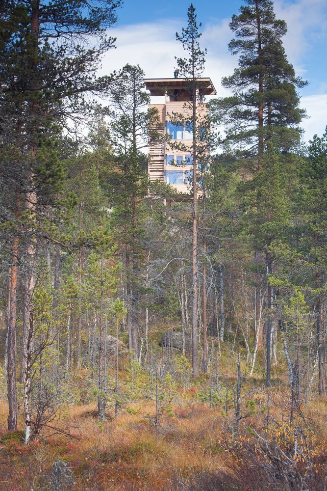 挪威 Moose Tower——融入自然的观鹿玻璃塔