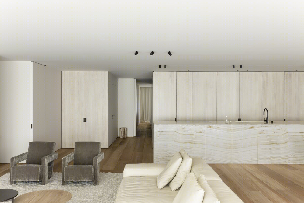 简约舒适，Blr Apartment 一居室公寓设计