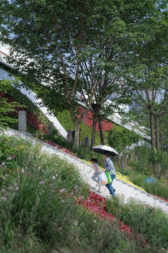 重庆九龙外滩 | 重塑滨江生态，连接人与自然