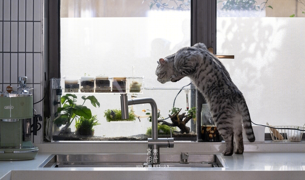猫奴专享！89 方新家打造猫咪乐园
