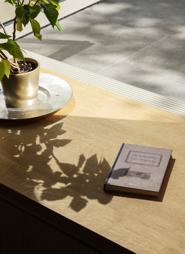 The Slatted Extension | Islington 保守区住宅的创新设计