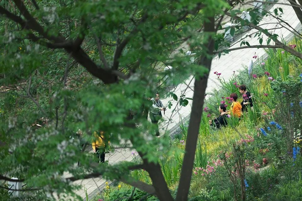 重庆九龙外滩 | 重塑滨江生态，连接人与自然