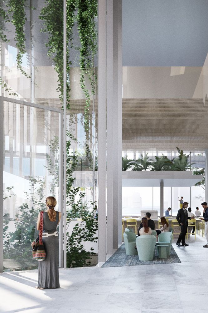 Ann Street John Wardle Architects