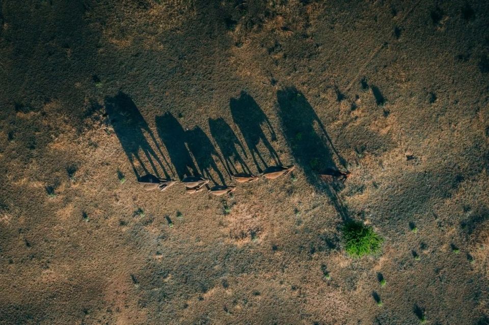 航拍之美 | Martin Sanchez 的视觉 drone art