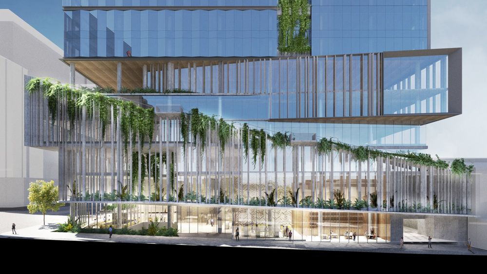 Ann Street John Wardle Architects
