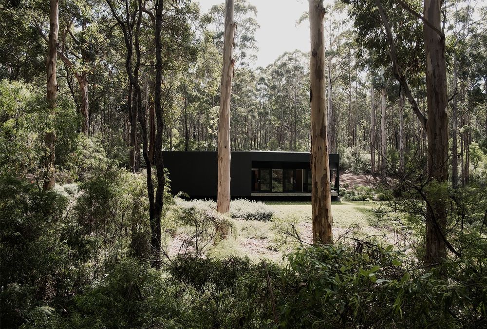 Boranup House MORQ