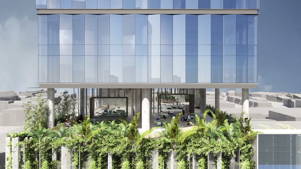 Ann Street John Wardle Architects